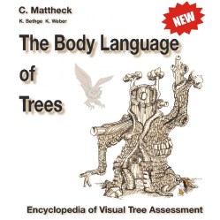 Body Language of trees NEW-1100x1100